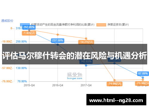 评估马尔穆什转会的潜在风险与机遇分析 评估马尔穆什转会的潜在风险与机遇分析